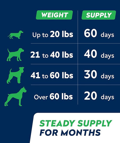 STRELLALAB Vet Strength Dog Probiotics Treats - 60 Billion CFU per jar + Digestive Enzymes Prebiotics - Chewable Fiber Supplement w/Pumpkin - Diarrhea, Gas, Constipation, Upset Stomach Relief
