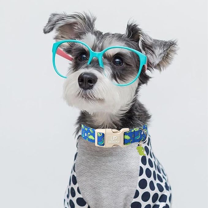 UP URARA PUP Summer Dog Collar-Dinosaur Dog Collars with Dino Eggs-Blue Summer Pet Dollar-Soft, Adjustable & Stylish for Small/Medium Dogs