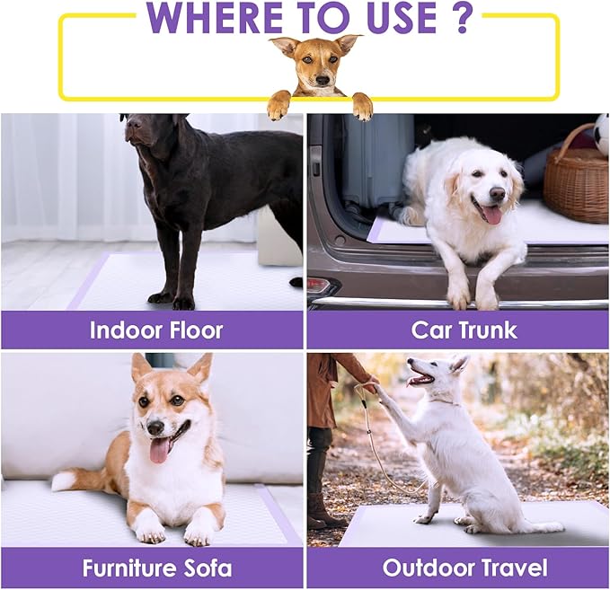 JollyMate 28"x34" Extra Large Dog Pee Pads 50 Counts, Leak-Proof Heavy Absorbent Pee Pads for Dogs, Quick Dry Disposable Puppy Pee Pads Slight Fresh Scented