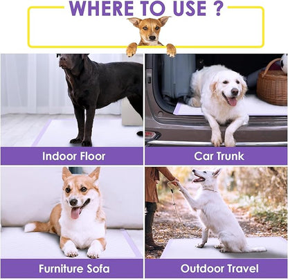 JollyMate 28"x34" Extra Large Dog Pee Pads 50 Counts, Leak-Proof Heavy Absorbent Pee Pads for Dogs, Quick Dry Disposable Puppy Pee Pads Slight Fresh Scented
