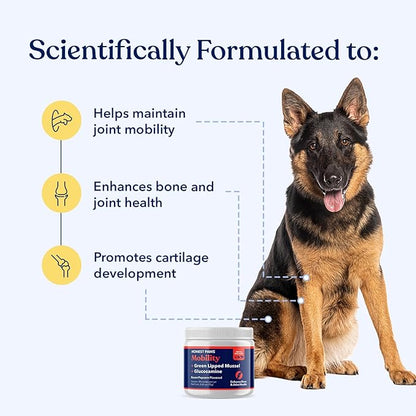 Honest Paws Glucosamine for Dogs – Joint & Mobility Supplement Powder with Green Lipped Mussel, Fish Oil & MSM – Supports Hip & Joint Health, Support Stiffness, Dog Supplies