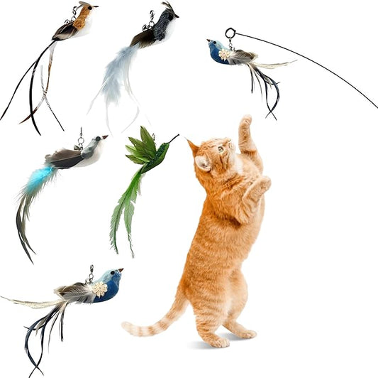 CUTIE PAW PAL Deluxe Bird Replacement Heads for Cat Toys - Set of 5 - Realistic Feather Designs Including Blue Floral, Two-Tone, Traditional, Black & White, Green Hummingbird - Easy Clip-On