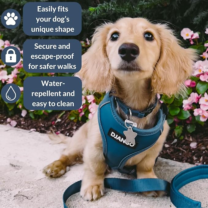 DJANGO Adventure Dog Harness - Stylish and Durable Medium Dog Harness for Outdoor Adventures and Everyday Wear - Indigo Blue Neoprene Adjustable Harness for Dogs with Reflective Piping, Brass D-Ring