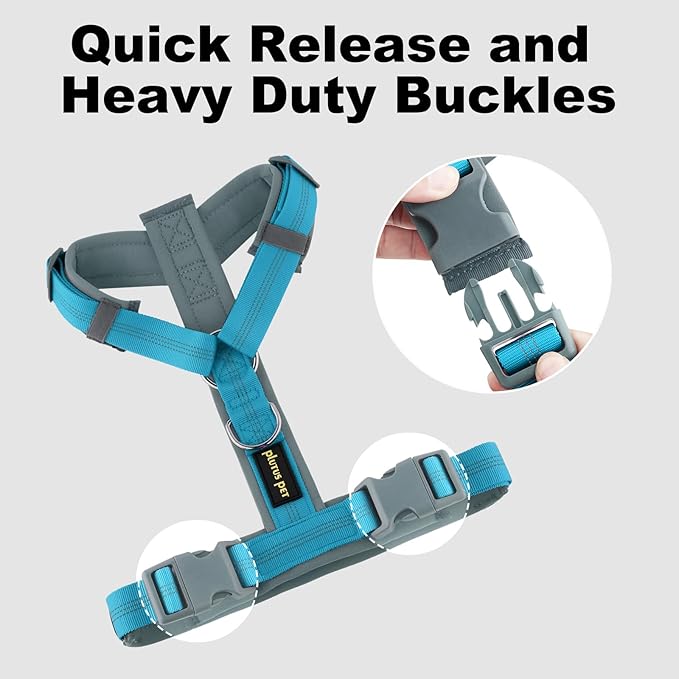 Plutus Pet No Pull Dog Harness, Adjustable Nylon Harness with Soft Padding, Reflective and Heavy Duty Dog Harness for Small, Medium, Large Dogs(Cyan, XL)