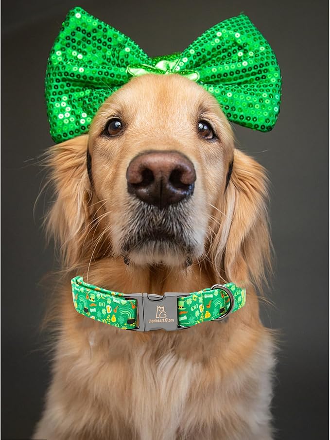 Lionheart glory Dog Collar, Cotton, Lucky Clover & Beer, Adjustable, XS-XL, Handmade Bow, for Small Dogs