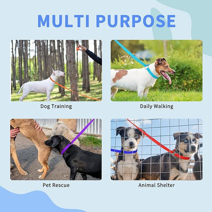 HOMIMP Slip Lead Dog Leash 6 FT- 6 PCS Bulk Colors Kennel Control Leashes for Small Medium Large Dogs Puppy Animal Rescue, Grooming - Heavy Duty Strong Nylon 6 Foot Long for Shelter, Vet, Training