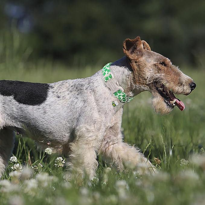 Unique style paws St. Patrick's Dog Collar Plastic Buckle Puppy Collar with Pendant Green Clover for Small Medium Large Boys Girls Dogs