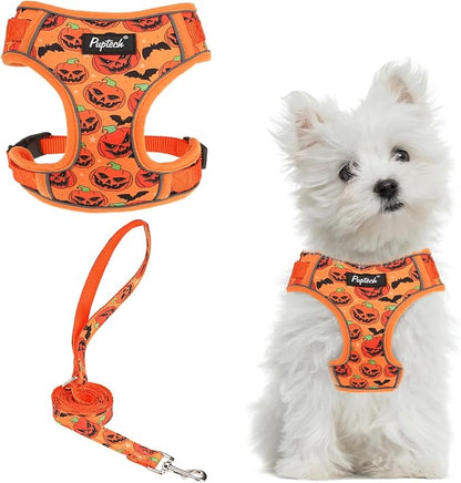 PUPTECK Halloween Small Dog Harness and Leash Set, No Pull Adjustable Puppy Cat Harness, Reflective Soft Mesh Pet Vest Small Sized, Pumpkin, S