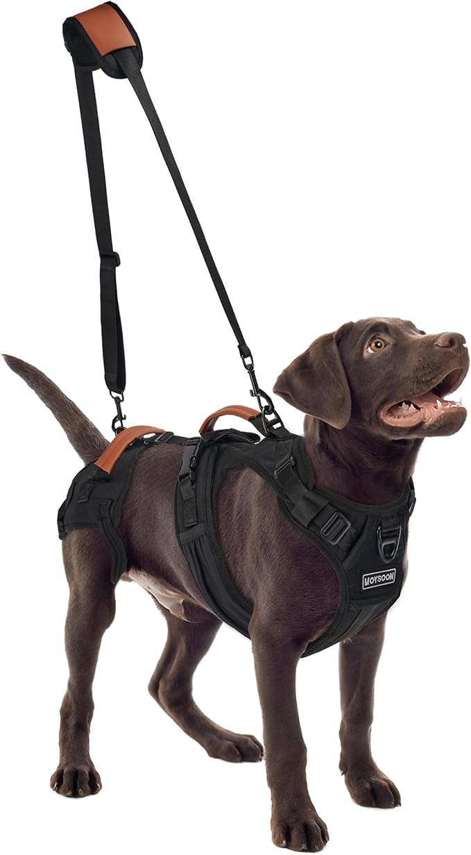 Dog Lift Harness, Full Body Dog Harness with Handle for Lifting, Front/Back Leg Support, Prevent Chafing Pee-Able Design, 2-in-1 Detachable Dog Assist Harness for Senior Disabled Dogs Up to 40lb