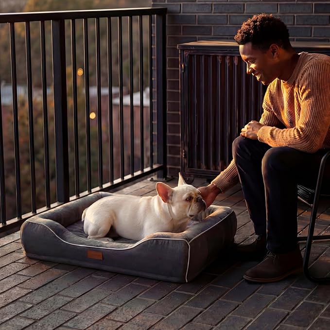 Orthopedic Cooling Dog Bed for Medium Sized Dogs Up to 30 Lbs, 28"x23"x6" Memory Foam Pet Bed with Egg-Crate Foam,Waterproof Removable Washable Cover,Anti-Slip Bottom, Relieves Joint Pain,Dark Grey