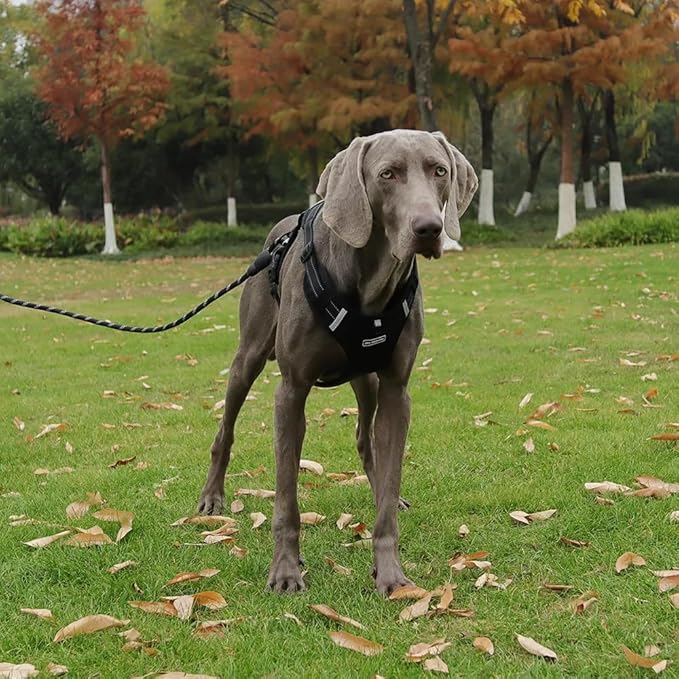 Dog Harness No Pull Adjustable Reflective,for Medium and Large Small Dog with Leash 59.06in (Black, L)