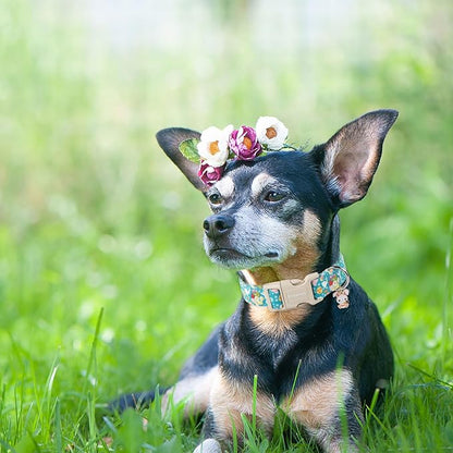 DOGWONG Easter Dog Collar,Cute Flower Bunny Eggs Dog Collar Pink Pet Collar Girl Dog Collar Puppy Pet Gift Adjustable Dog Collars for Small Dogs