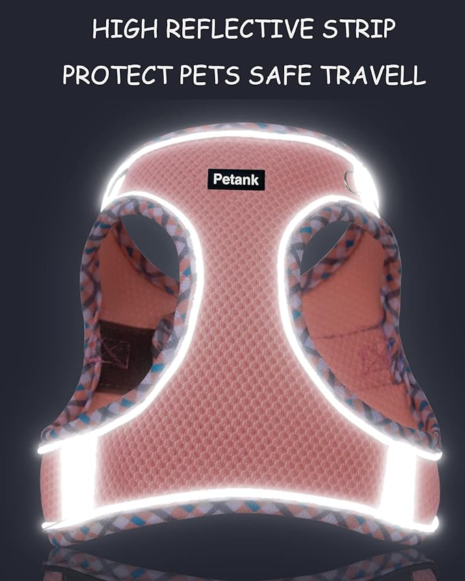 Petank Dog Harness for Small Medium Dogs No Pull, Puppy Harness and Leash Set, Step in Dog Harness for Walking, Running, Training, Small Dog Vest(Light Blue, S)