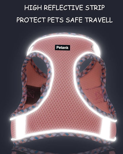 Petank Dog Harness for Small Medium Dogs No Pull, Puppy Harness and Leash Set, Step in Dog Harness for Walking, Running, Training, Small Dog Vest(Light Blue, S)