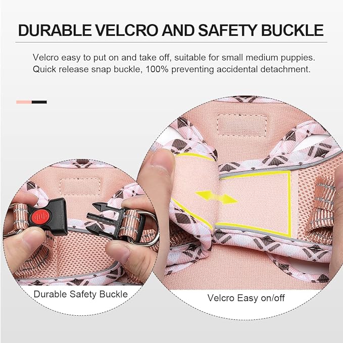 Mercano Soft Mesh Dog Harness and Leash Set, No-Chock Step-in Reflective Breathable Lightweight Easy Walk Vest Harnesses with Safety Buckle for Small Dogs, Cats (Champagne, XL)