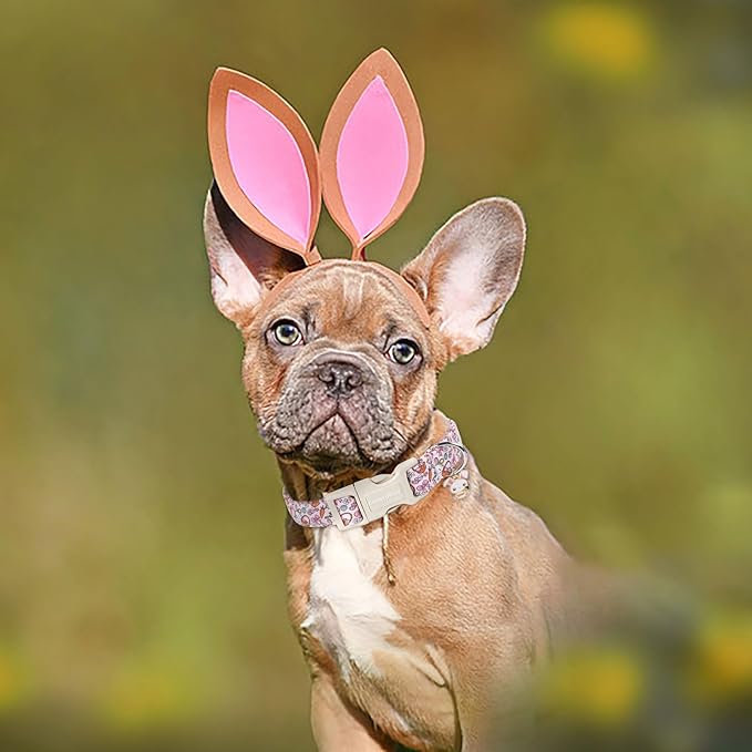Lionet Paws Cute Pink Rabbit Eggs Dog Collar with Plastic Buckle, Medium Size, Cotton Material, Unique Design, Suitable for Medium Dogs
