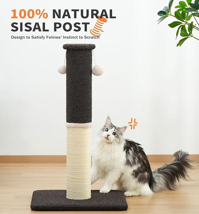 Made4Pets Tall Cat Scratching Post, Heavy Duty and Thicker Scratching Posts for Indoor Cats Adults, 33" Natural Sisal Cat Scratcher with Hanging Balls, Sturdy Base Cat Scratch Post, Brown
