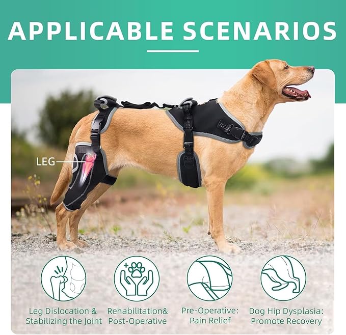 Dog Knee Brace for ACL/CCL Injuries,Torn Ligament,Pain Relief,Joint Warmth,Luxating Patella - Rear Leg Support,Black,Upgraded,Right Legs,L