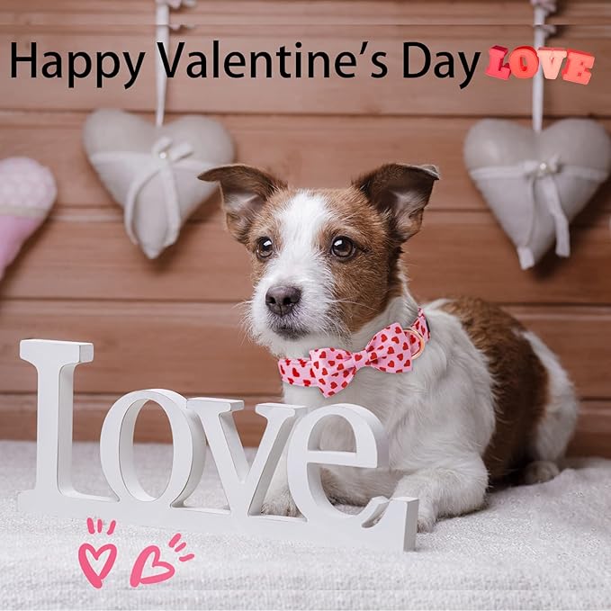 ARING PET Valentine's Day Dog Collar with Bow, Cute Adjustable Pink Heart Bowtie Pet Collars with Metal Buckle for Puppy Small Medium Large Boy Girl Dogs-M