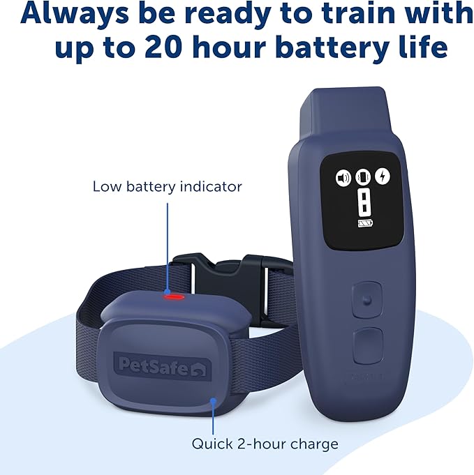 PetSafe Basic Dog Trainer with Remote - Effective Dog Training - 15 Levels of Static Correction - Waterproof Collar - Rechargeable Training Collar - Compact Remote Transmitter