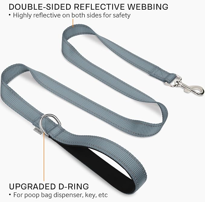 Joytale Double-Sided Reflective Dog Leash, 6 FT/5 FT/4 FT, Padded Handle Nylon Heavy Duty Leashes for Small & Medium Dogs Walking, Gray, 5FT