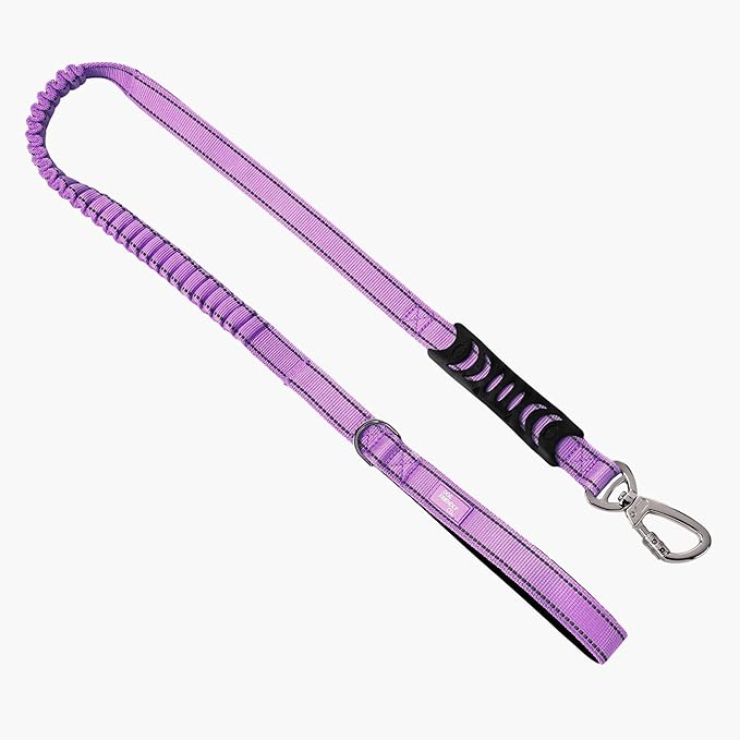 DF Co. Bungee Dog Leash | Strain Free & Shock Resistant for Control | Neoprene Padded Handle, Heavy-Duty Carabiner Clip, and D-Ring | Purple, Size Regular