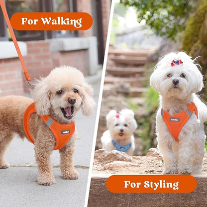 rabbitgoo Small Dog Harness, Step-in Soft Mesh Puppy Vest with Safety Buckle, Breathable Reflective Pet Harness for Small Sized Dogs, Orange M