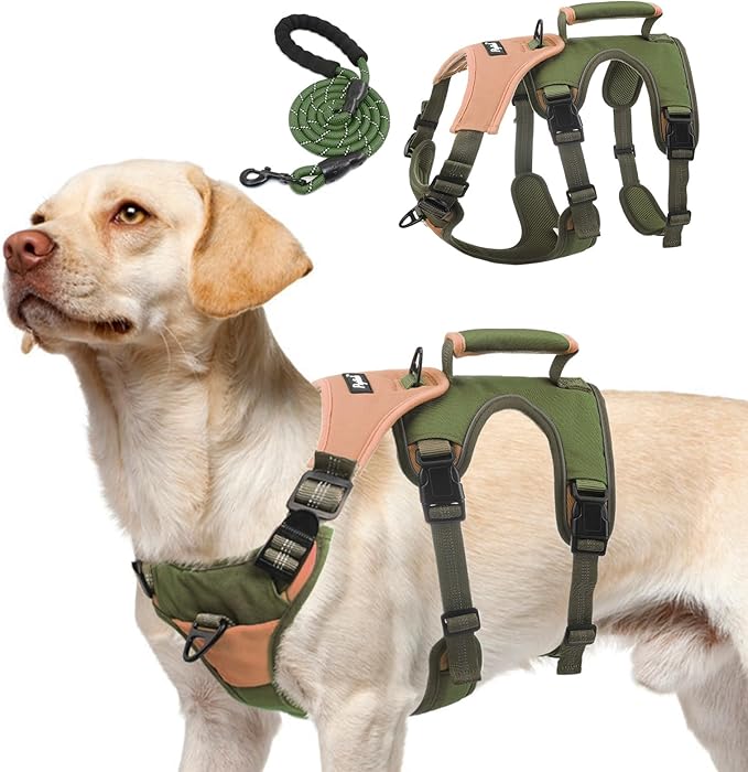PUPTECK Escape Proof Dog Harness and Leash Set Upgraded No Pull Reflective Dog Vest with Lift Handle, Easy Control Pet Harness for Medium Large Dogs Training Walking Running, Green, M