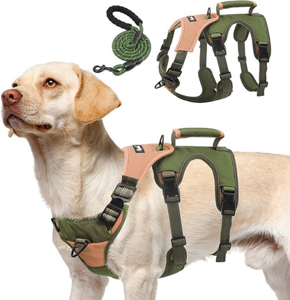 PUPTECK Escape Proof Dog Harness and Leash Set Upgraded No Pull Reflective Dog Vest with Lift Handle, Easy Control Pet Harness for Medium Large Dogs Training Walking Running, Green, L