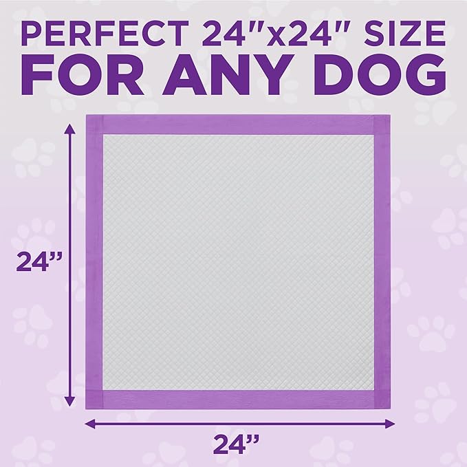 POOPH® Potty Pads™ – 50 Count – Superior Absorbency & Odor Control – Absorbs 59oz, Leak-Proof, Track-Proof, Spill-Proof – Quick-Dry, Disposable, 24x24 Inch – for Puppies, Seniors, Housebound Pets