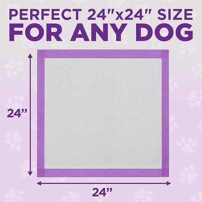 POOPH® Potty Pads™ – 50 Count – Superior Absorbency & Odor Control – Absorbs 59oz, Leak-Proof, Track-Proof, Spill-Proof – Quick-Dry, Disposable, 24x24 Inch – for Puppies, Seniors, Housebound Pets