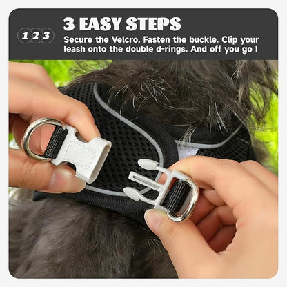 Bolux Dog Harness Small Sized and Leash Set, Step in Soft Light Puppy Vest, Breathable Mesh Pet Harness, Reflective for Safe Easy Walking.