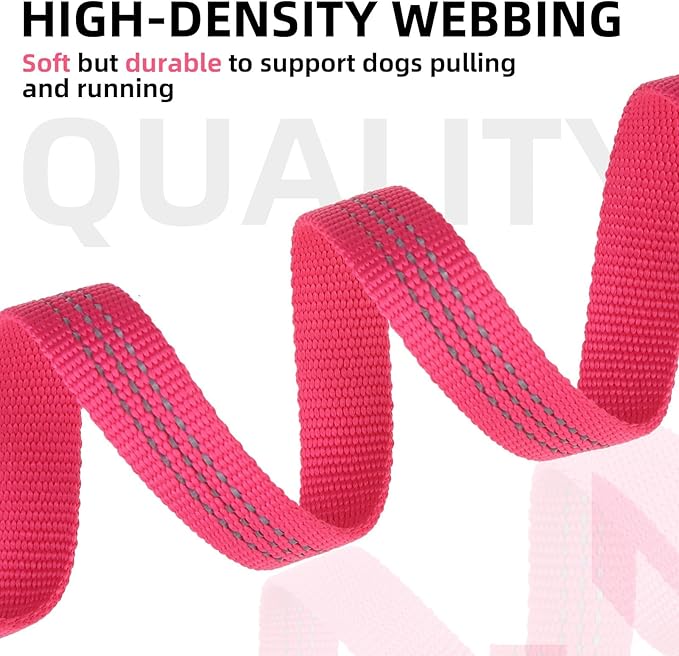 PUPTECK Reflective Dog Leash with Comfortable Padded Handle Durable Nylon Dog Lead for Small Medium and Large Dogs Cats Walking Running Training Outside, Hot Pink, M