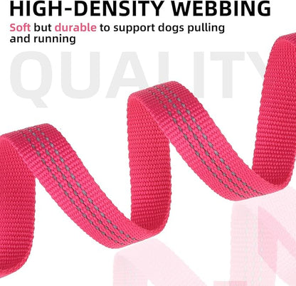 PUPTECK Reflective Dog Leash with Comfortable Padded Handle Durable Nylon Dog Lead for Small Medium and Large Dogs Cats Walking Running Training Outside, Hot Pink, M