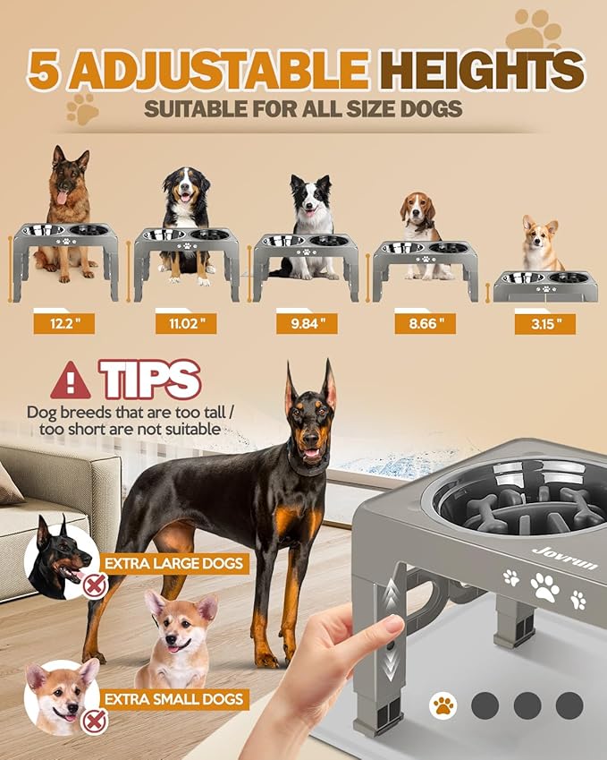 Elevated Dog Bowls, Dog Feeder with 1*Stainless Steel Dishes & 1*Slow Feeder Bowl, 5 Heights Adjustable Raised Stand for Medium Large, Food Dishes with Non-Slip Feet