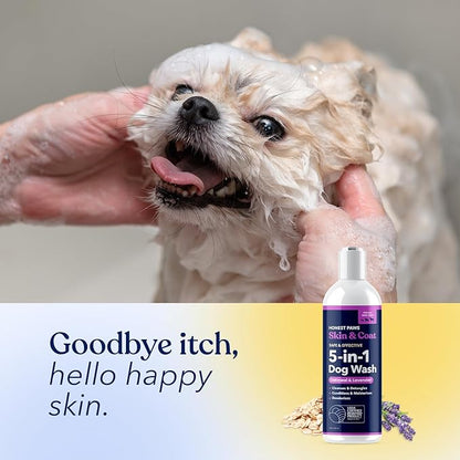 Honest Paws Dog Shampoo and Conditioner - Premium Dog Wash for Allergies and Dry, Itchy, Moisturizing for Sensitive Skin - Sulfate Free, Plant Based, All Natural - Oatmeal & Lavender - 16 Fl Oz
