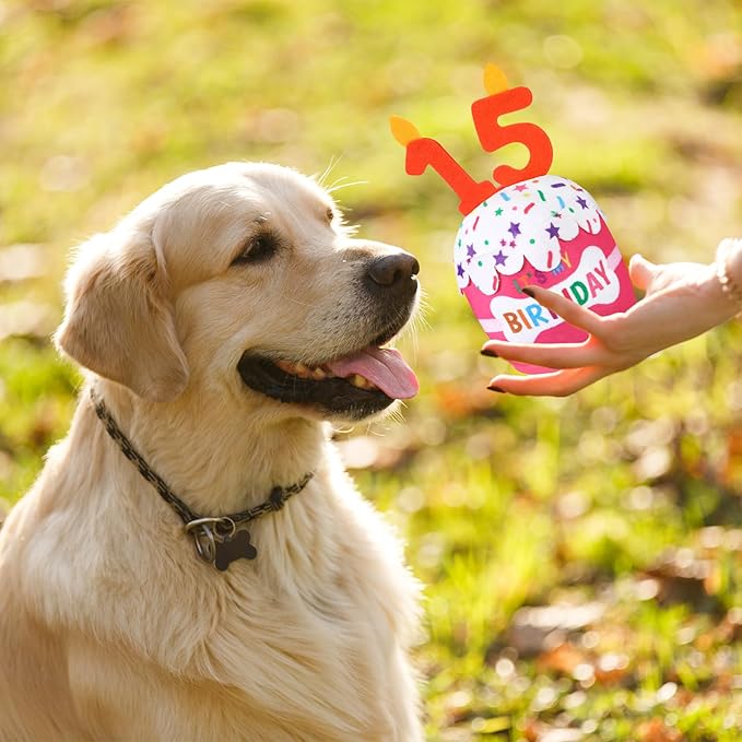 Dog Birthday Cake Toy Accessories for Girl Boy Gifts, Squeaky Plush Toy for Dog Birthday Party Decor Favor for Large, Medium and Small Dogs(15th,Pink)