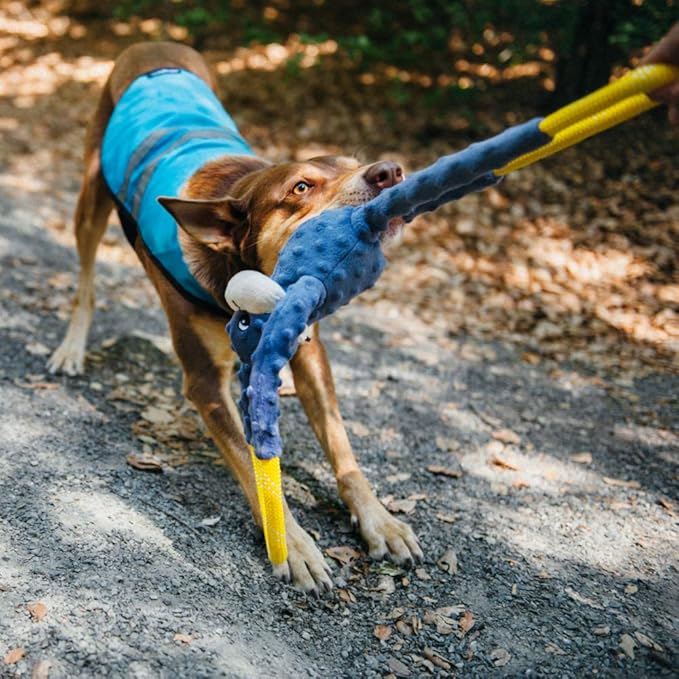 ZippyPaws RopeTugz - Durable Dog Pull Rope Toy, Interactive Tug of War for Large, Medium, & Small Dogs, Squeaky Pet Products to Keep Them Busy, Made with Heavy Duty Climbing Rope - Blue Monkey