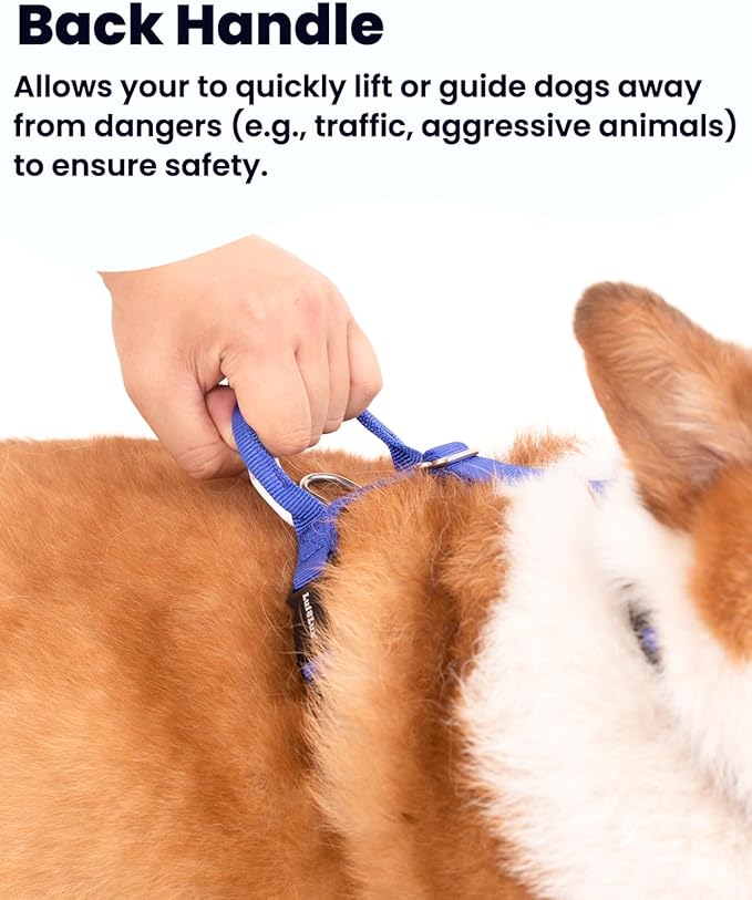 Non-Restrictive Dog Harness, Neck Buckle Design, Easy Walk Freedom No Pull Harness, Keep Balance, Six Points Adjustment, for Large Dogs Chest(25-35 inches) Blue/Black