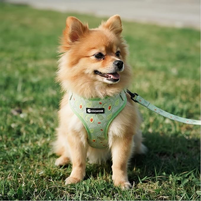 Dog Harness and Leash Set, Adjustable Dog Harness, Dog Leash, No Pull No Choke Puppy Harnesses for Walking Training for Small Medium Pet