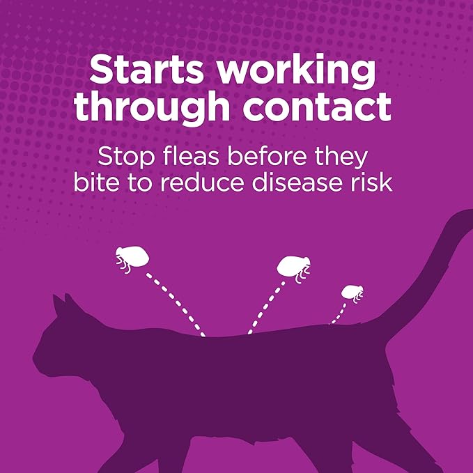 TevraPet Actispot II Flea Treatment for Small and Medium Cats 5-9 lbs | 6 Doses | Powerful Prevention and Control, Clear