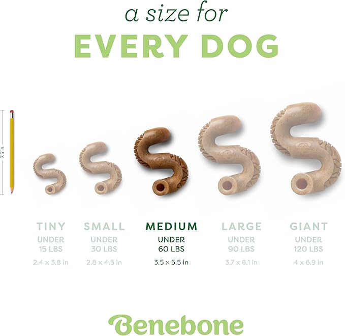 Benebone Tripe Bone Durable Dog Chew Toy for Aggressive Chewers, Real Tripe, Made in USA, Medium