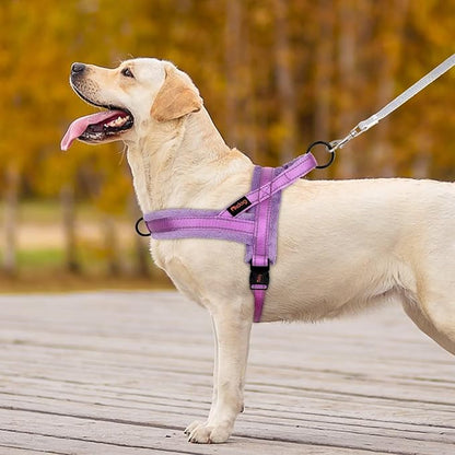 Didog Soft Flannel Padded Dog Vest Harness, No Pull/Quick Fit Reflective Dog Strap Harness, Easy for Training Walking (L:Chest 26-32", Purple)