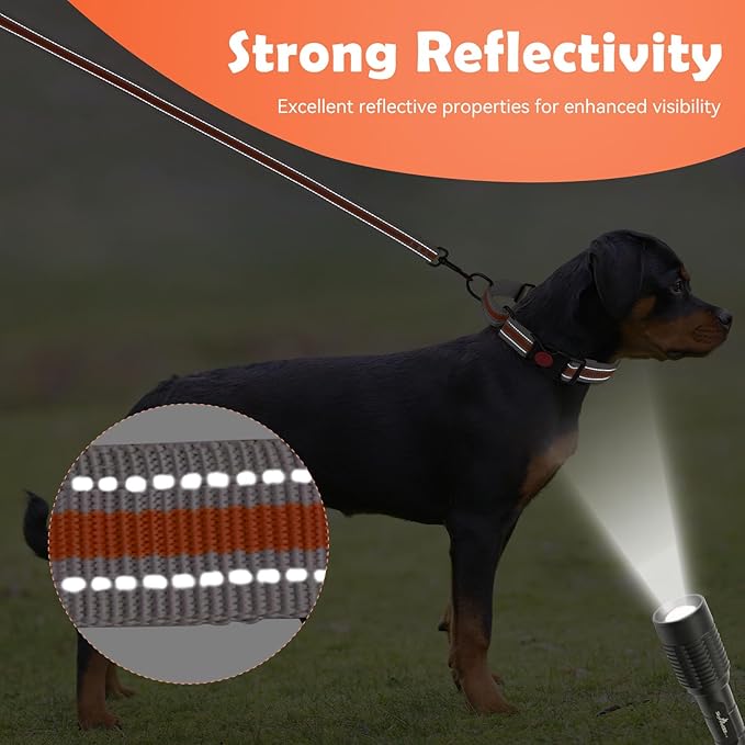 Martingale Collar for Dogs,Soft Neoprene Padded Reflective Martingale Collar and Leash Set Safety Buckle Nylon Martingale Collar for Puppy(Orange&XS)