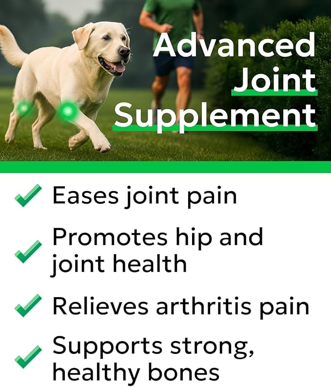 Bark&Spark Glucosamine Chondroitin Dog Hip & Joint Supplement - Joint Pain Relief - Hip & Joint Chews - Joint Support Large Small Breed - Senior Doggie Vitamin Pill Joint Health (180 Treats - Chicken)