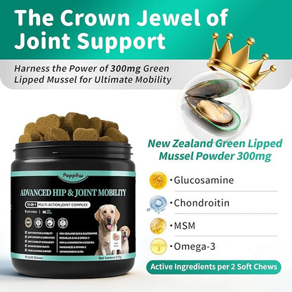 Advanced Dog Joint Supplement – 15-in-1 Glucosamine for Dogs with Chondroitin, MSM & Green Lipped Mussel – Hip & Joint Pain Relief Mobility Chews, Beef Flavor, 90Ct Breeds