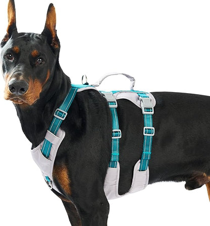 Huntboo Reflective Dog Harness with Handle, Escape Proof, No Slip, Breathable, Lightweight, Adjustable Lift Harness for Small, Medium, and Large Dogs Walking, Training, and Running Gear(Teal Blue,L)