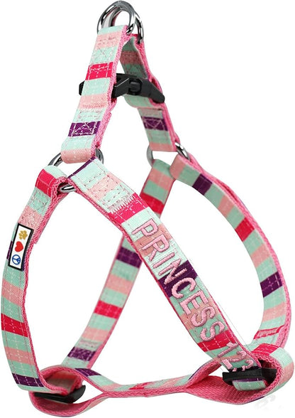 Pawtitas Personalized Dog & Puppy Harness Extra Small Teal/Pink/Purple Custom ID Tag Adjustable No Pull Vest