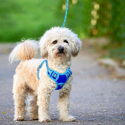 BARKBAY No Pull Dog Harness Large Reflective Dog Harness with Front Clip and Easy Control Handle for Walking Training Running with ID tag Pocket(Sapphire Blue & Blue,S)