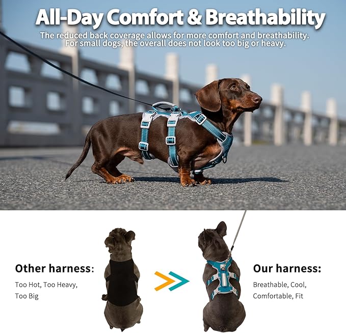 Huntboo Escape Proof Dog Harness, Escape Artist Harness, Fully Reflective Harness with Padded Handle, Breathable,Durable, Adjustable Vest for Medium Dogs Walking, Training, and Running Gear (Teal,XS)